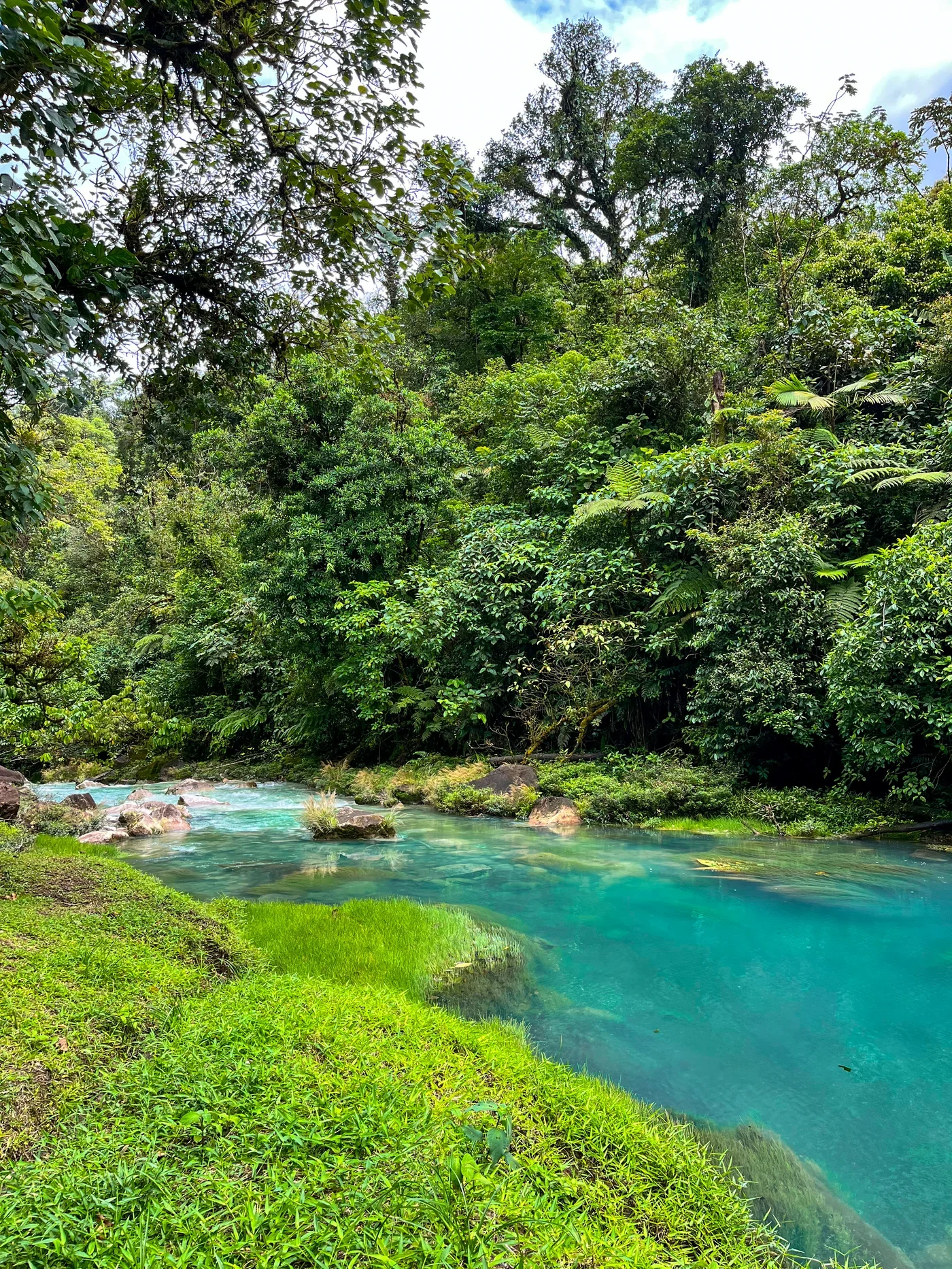 Turquoise Río Celeste flowing through a Costa Rican forest